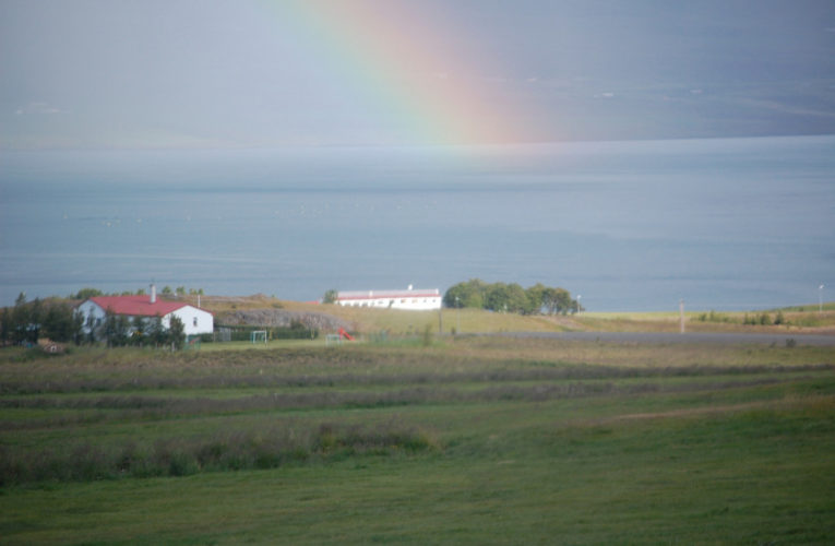 Sunrise: Is he really my true Valentine? Love and PTSD.