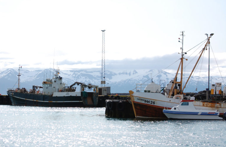 Sunrise: Woman/wife/mother: PTSD + suicidal thoughts