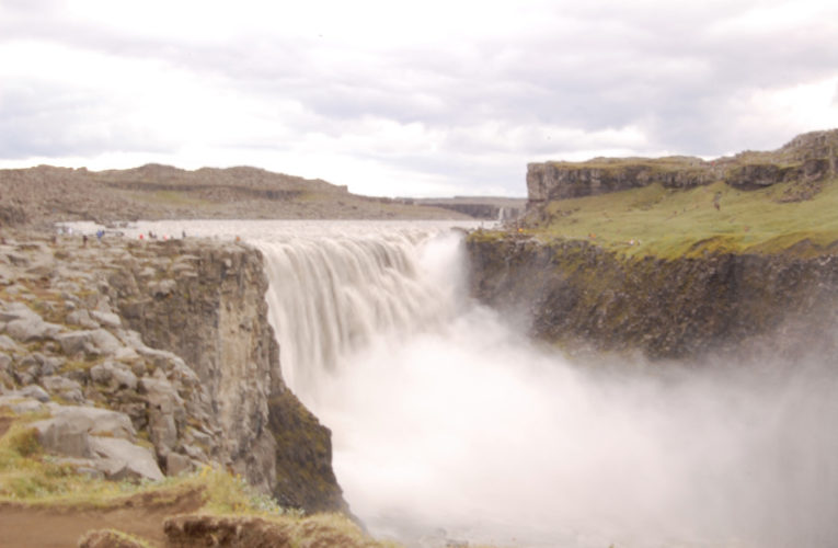 Sunrise: Help! I’m a lost little amoeba in this big PTSD ecosystem